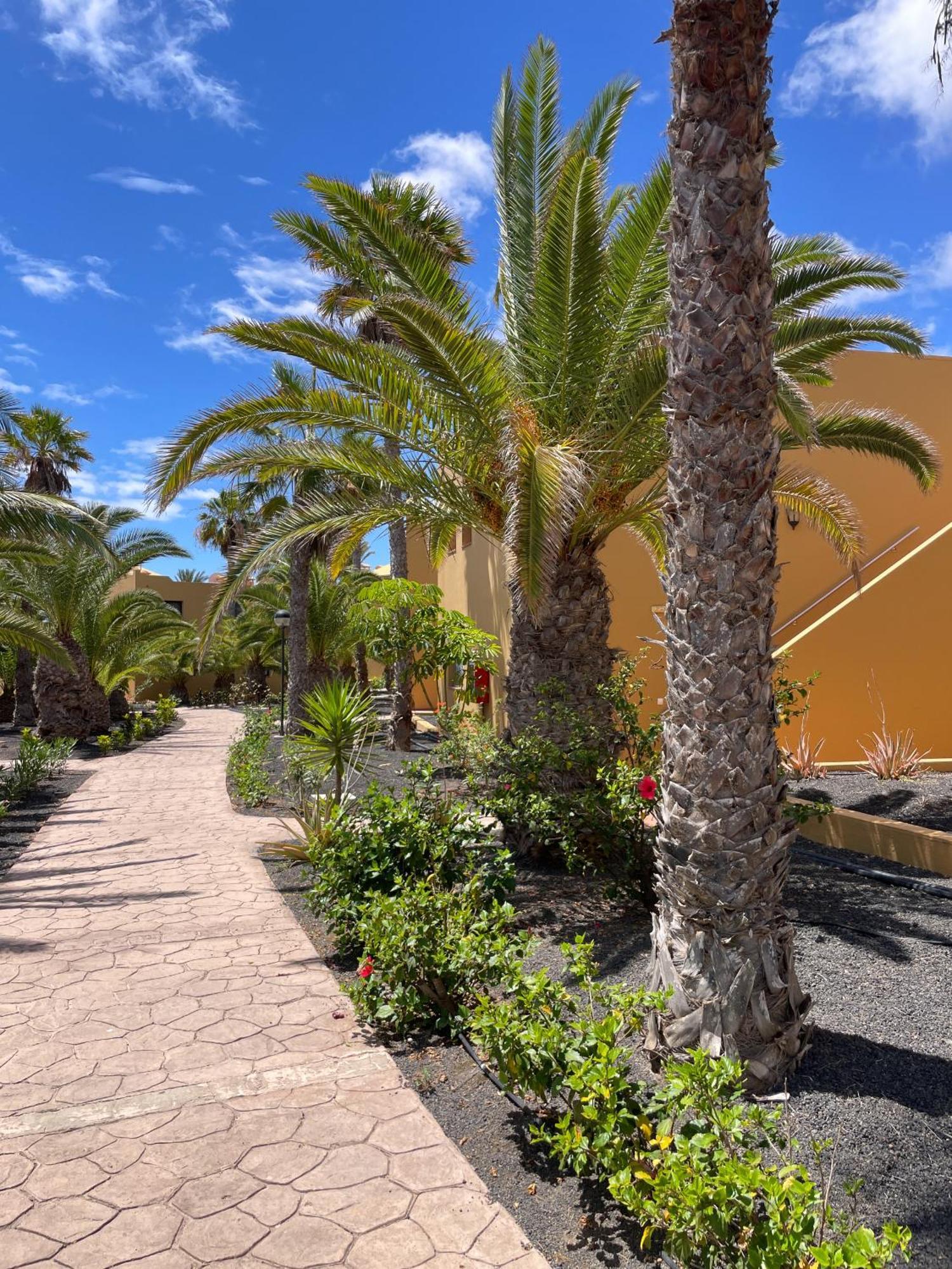 Ferienwohnung B-Rent Casa Angela Pool View Corralejo Exterior foto